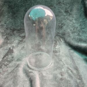 Glass Dome with no base about 4"X 8"